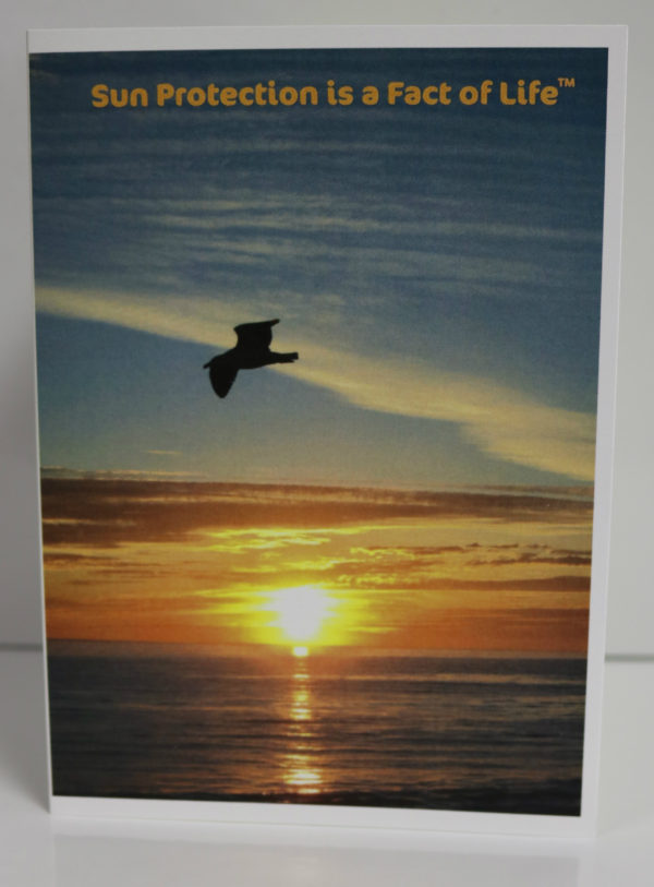 greeting card, greeting cards, card, cards, summer, sun protection, wish you were here,