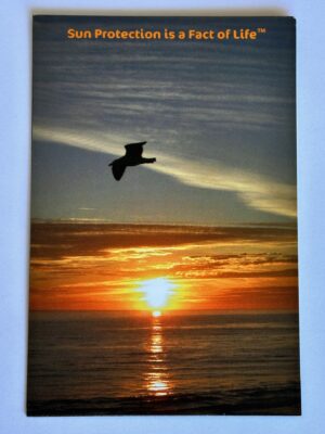 Sun Protection is A Fact of Life Magnetic Decal