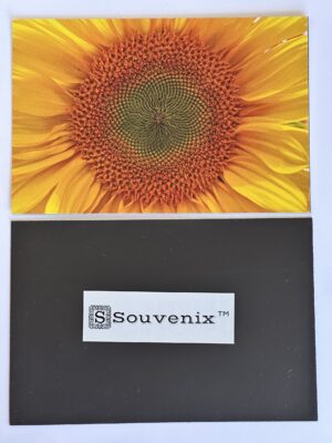 Sunflower Magnetic Decal